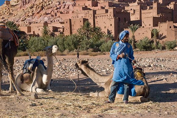 Desert Guide