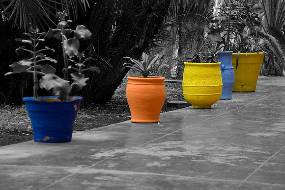 In Yves St Laurent's Garden